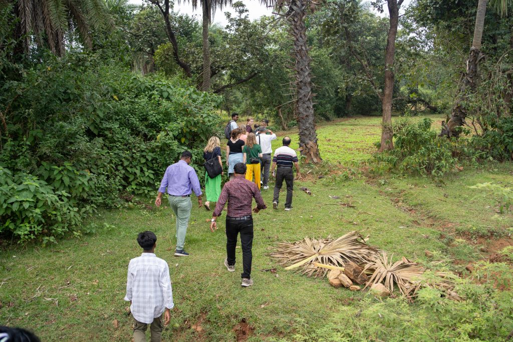 Bilde av mennesker som vandrer på en åker omringet av trær