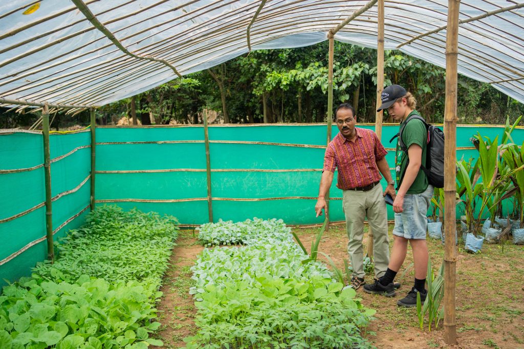 To personer inn i et drivhus, ser på planter