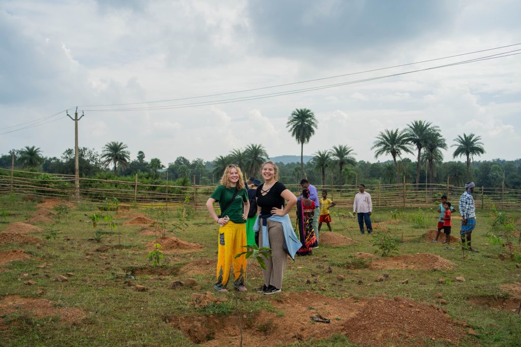 To elever som står på en åker