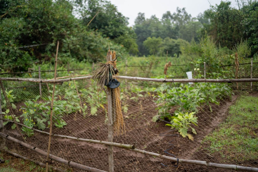En åker med et selvlaget gjerde